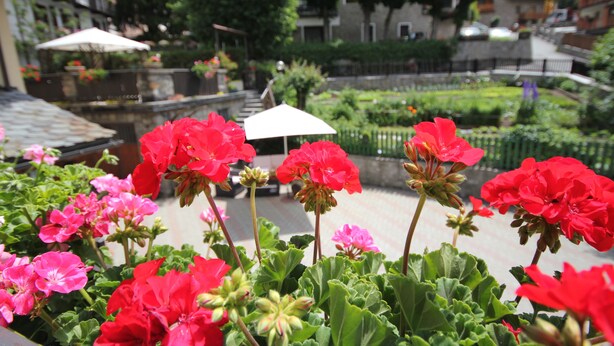 Standard Double or Twin Room | View from room - Meublé Laurent (Courmayeur)