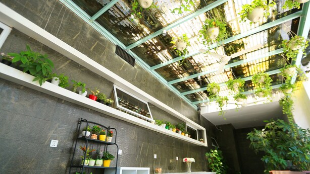 Un intérieur moderne avec un plafond en verre, de nombreuses étagères ornées de plantes et un banc blanc.