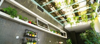 Colour Inn Shenzhen Shekou Branch