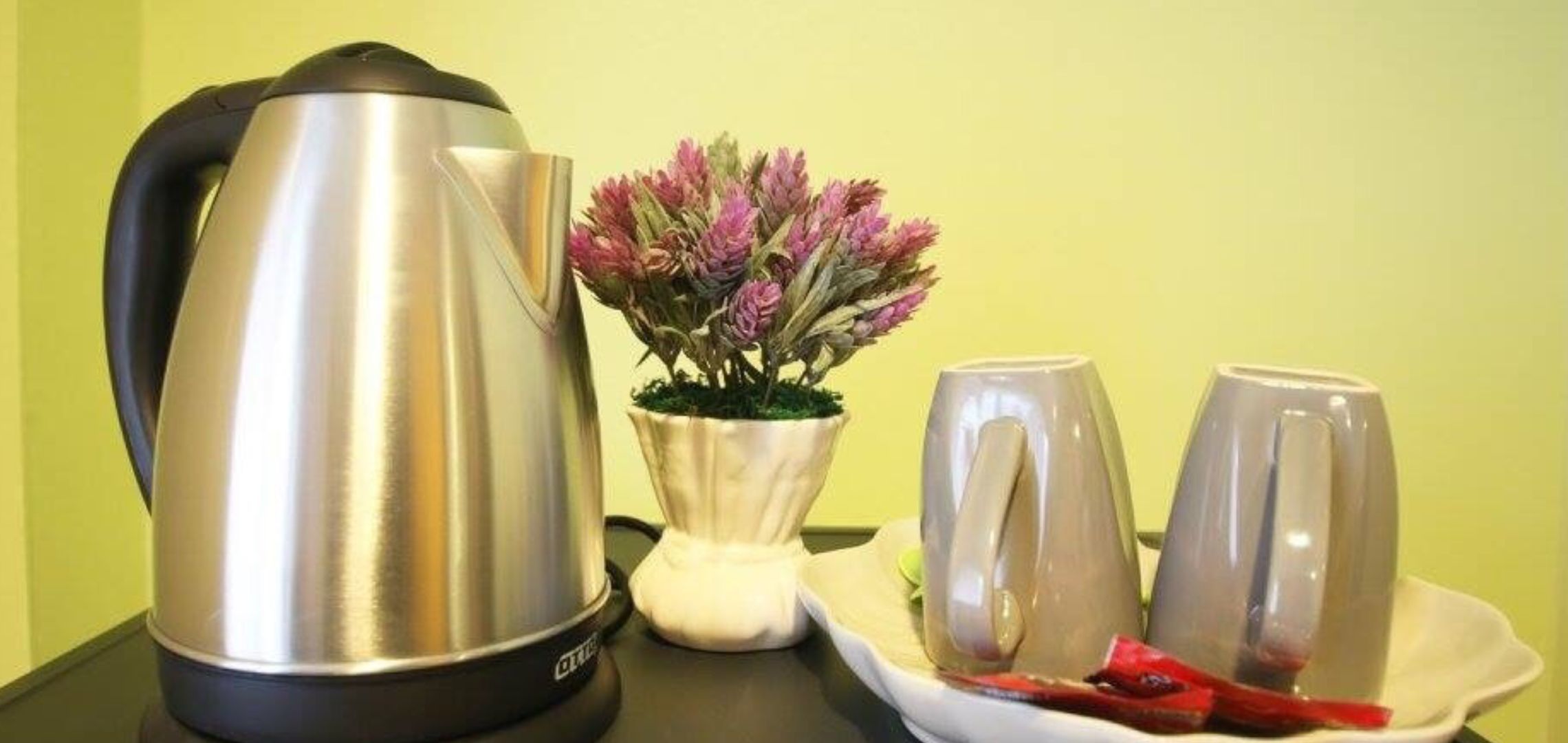 A stainless steel kettle, a potted plant, and two clear glass mugs on a table.