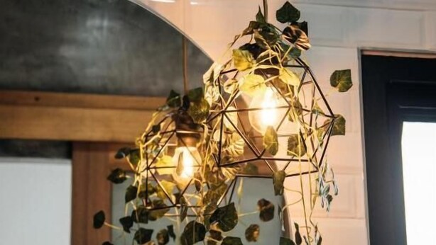 A geometric pendant light with ivy hanging from it, suspended in a room with white walls and a wooden ceiling. - Journey Hostel Suratthani (Surat Thani)