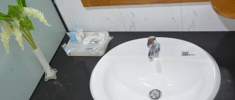A white bathroom sink with a mirror above it, a small plant beside the sink, and toiletries in a tray.