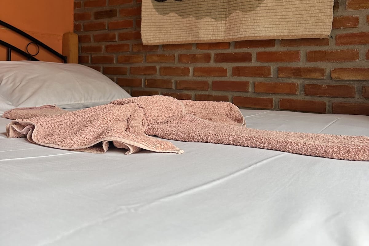 Suite económica, 1 cama doble, vistas al patio | Minibar y wifi gratis