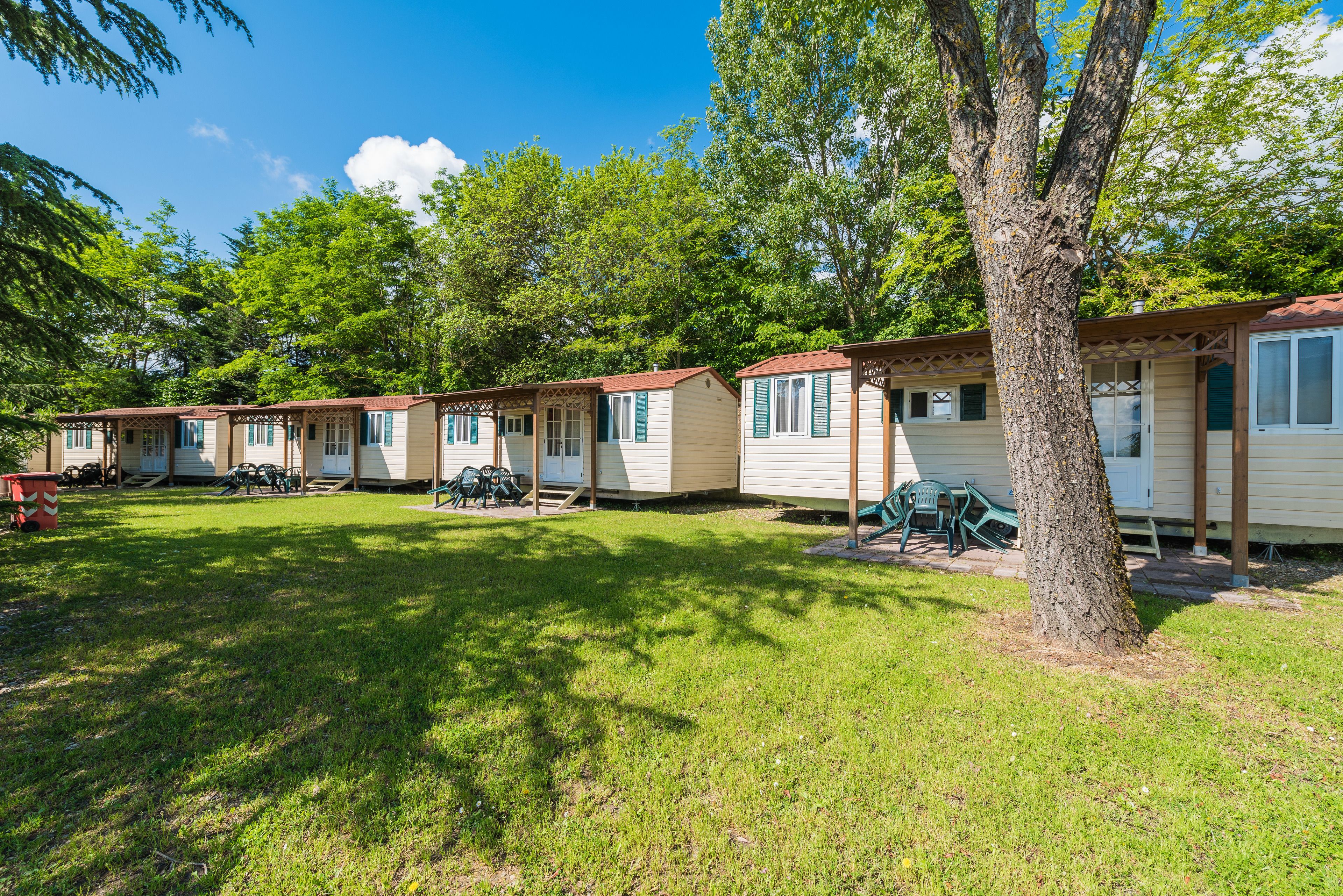 A row of mobile homes with a grassy yard and trees.