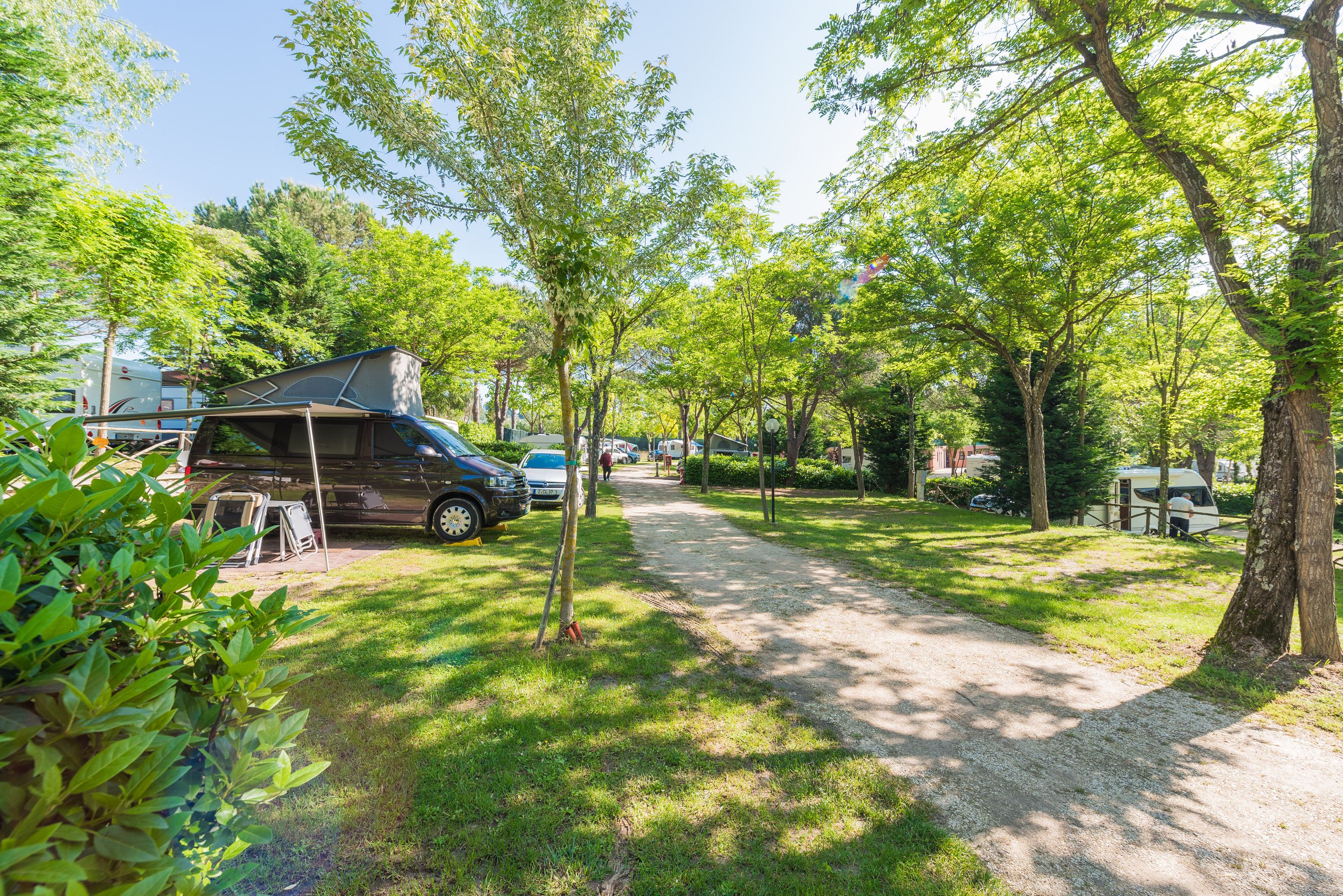 A campsite with RVs parked along a gravel path, surrounded by trees and greenery.