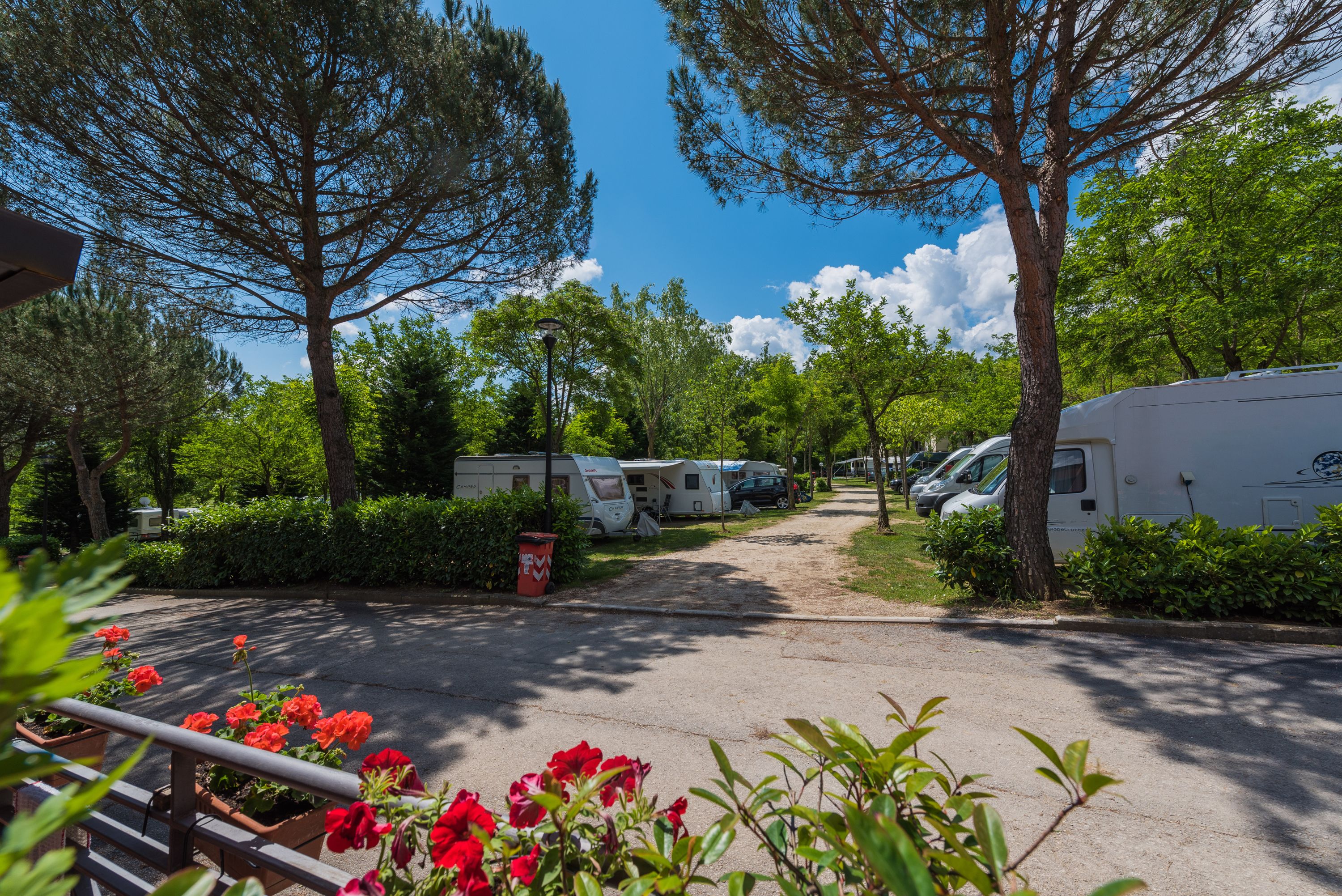Un campeggio con camper parcheggiati lungo un vialetto lastricato, circondato da alberi e vegetazione.