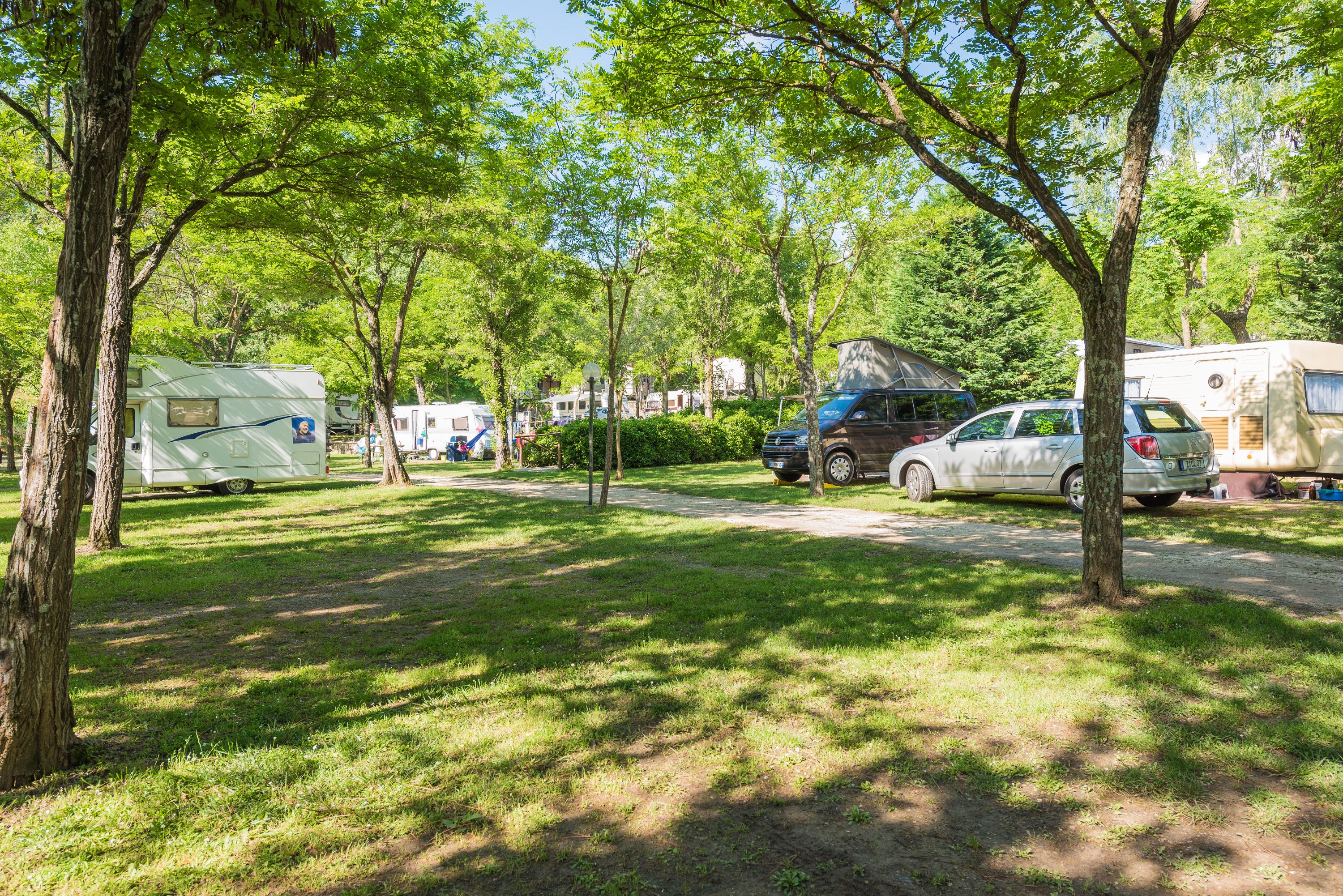 Un camping con vehículos recreativos y automóviles estacionados entre árboles.