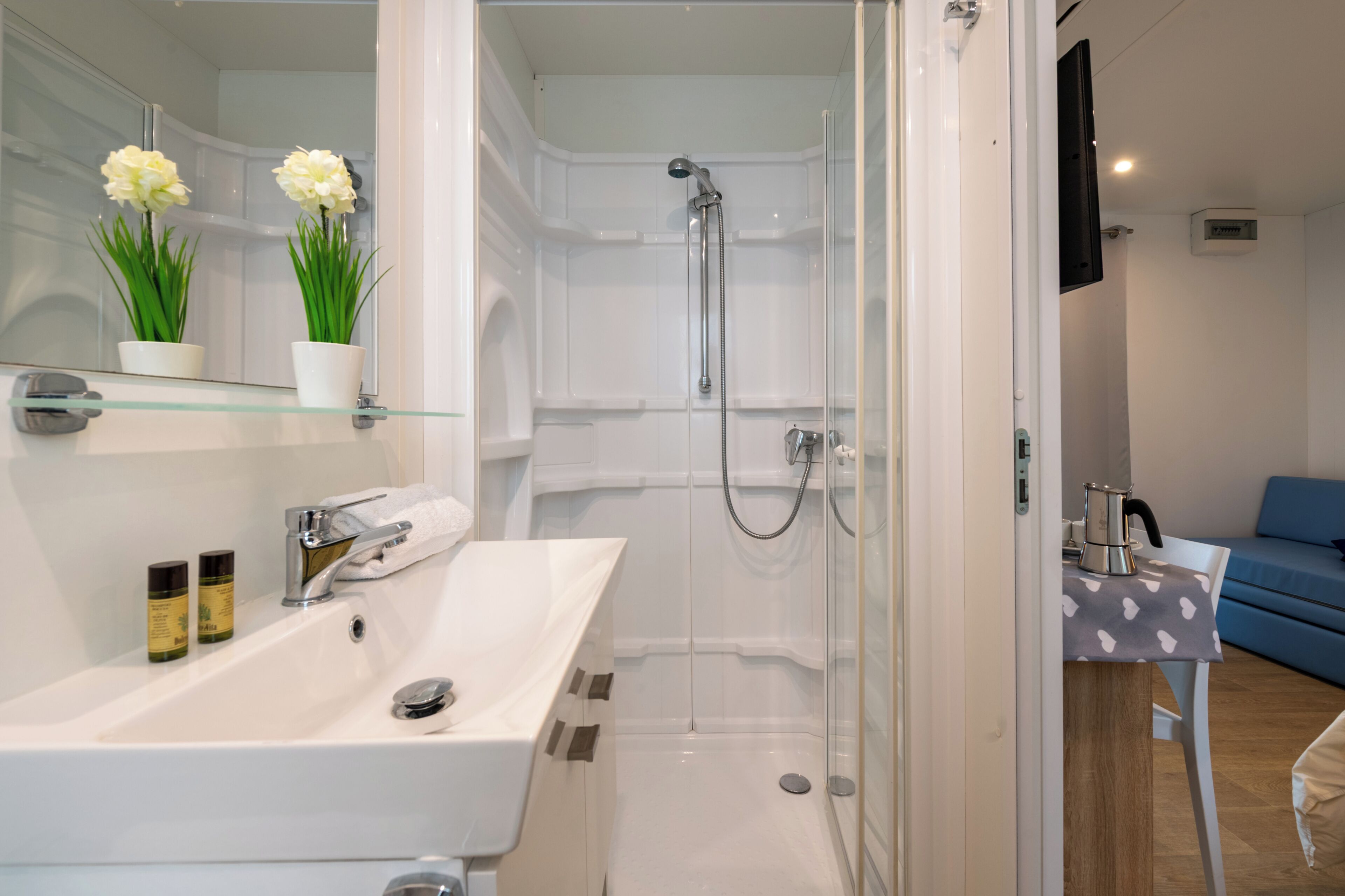 Une salle de bain avec un lavabo blanc, un miroir et une douche. Deux plantes en pot sont posées sur le miroir.