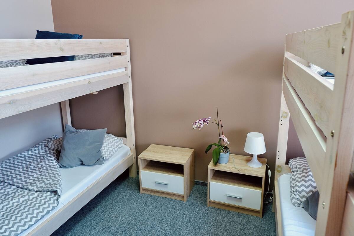 Habitación con literas, una mesita de noche pequeña, una lámpara y una planta en maceta.