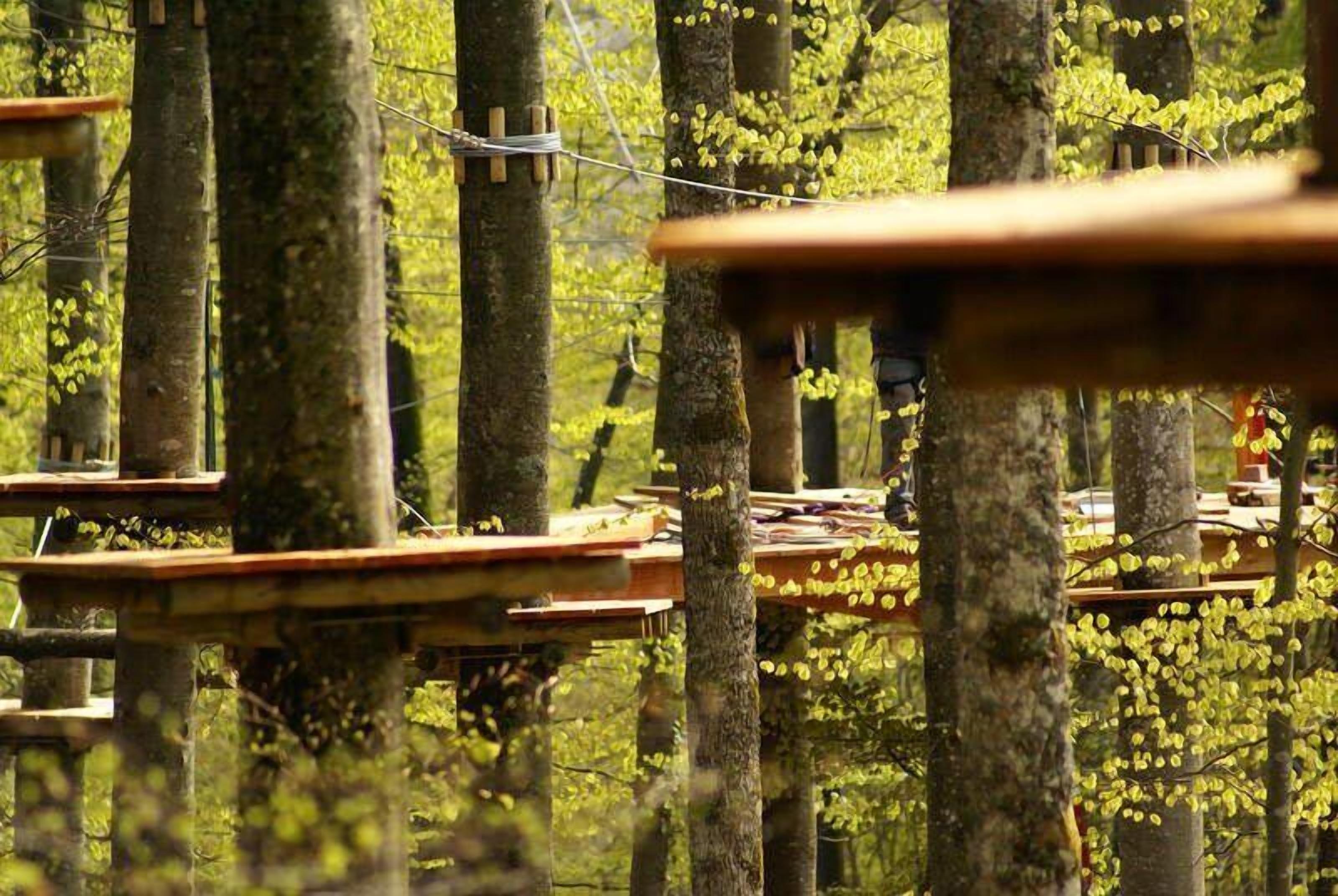 Zona boscosa con plataformas y cuerdas de madera, probablemente parte de un espacio para aventuras o actividades al aire libre.