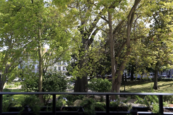 Apartment, 1 Schlafzimmer | Ausblick vom Zimmer