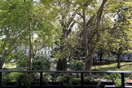 Vista desde la habitación