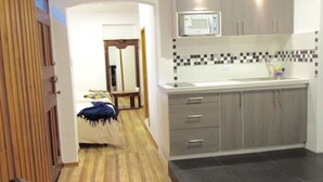 Suite estudio urbana, 2 camas matrimoniales, para fumadores, vista a la ciudad