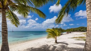 A beach with palm trees, clear turquoise water, and a sailboat in the distance. - Juanedu Suites (Oranjestad)