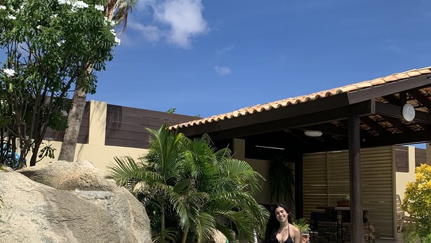 A pool area with a covered seating area, palm trees, and a large rock. - Juanedu Suites (Oranjestad)