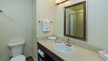 Une salle de bain avec des toilettes, un lavabo et un miroir.