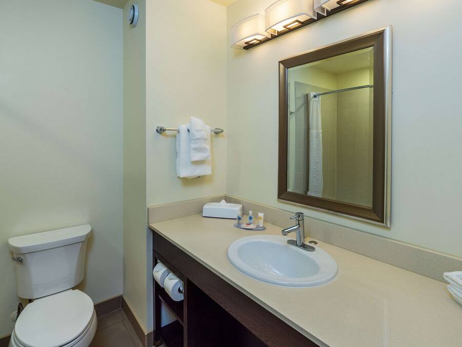 Une salle de bain avec des toilettes, un lavabo et un miroir.