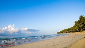Una playa con cielo despejado, palmeras y el océano.