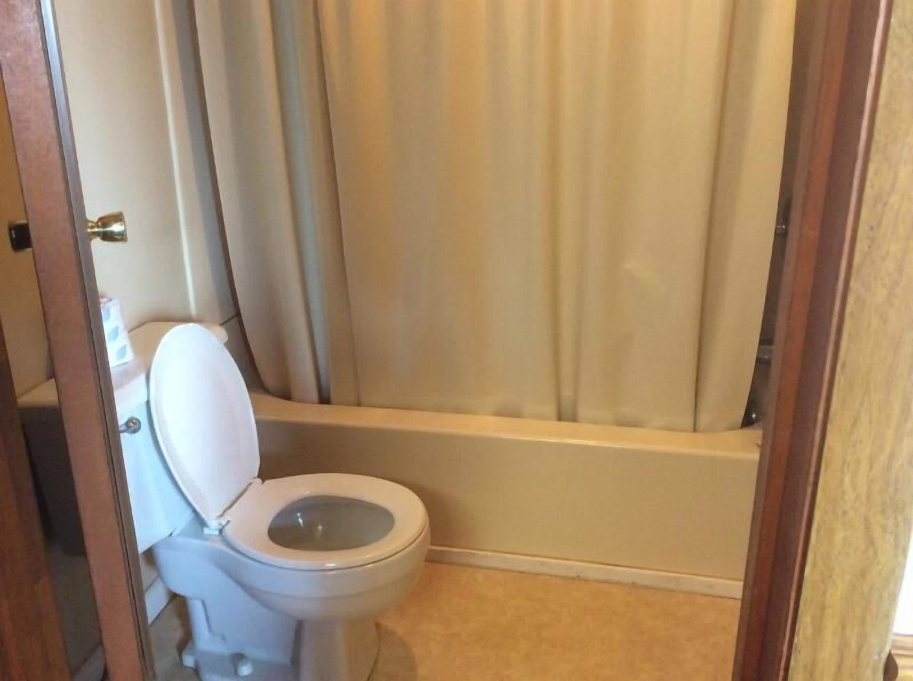 A bathroom with a toilet and a bathtub.