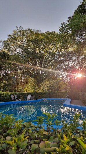 A swimming pool with lounge chairs and a sunken area, surrounded by trees and greenery.