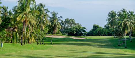 A golf course with palm trees and a clear sky.