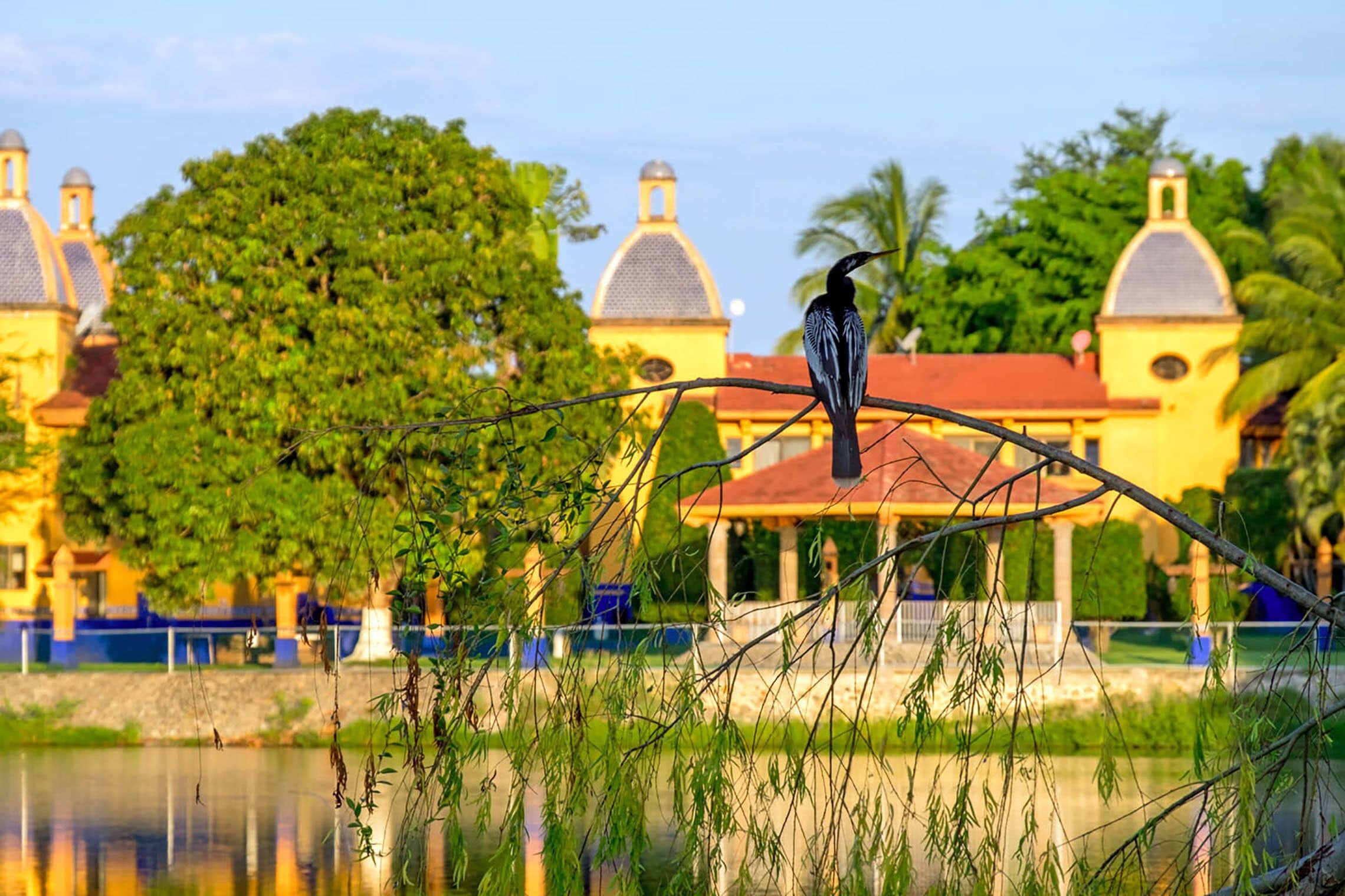 A bird perched on a branch near a body of water with a building in the background.