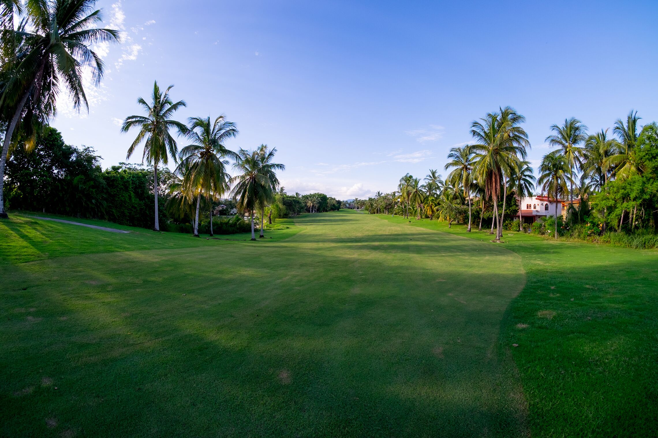 A well-maintained golf course with a clear path, surrounded by tall palm trees and a few buildings in the background.