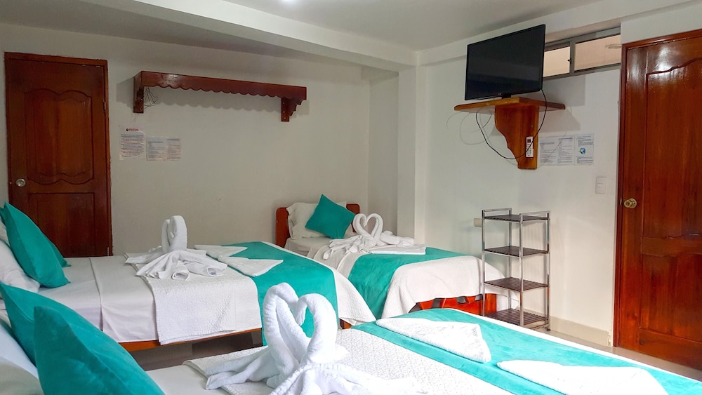 Sir Francis Drake by null