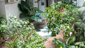 Un patio con piso de baldosas, rodeado de muros blancos con detalles verdes, con plantas grandes en macetas y una pequeña fuente.