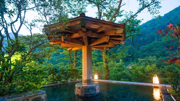 Un belvédère en bois surplombe une piscine aux eaux cristallines, le tout étant entouré d’une végétation luxuriante.