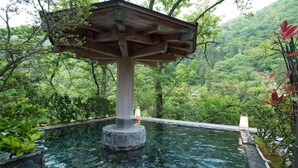 Une structure en pierre surmontée d’un toit en bois, surplombant un bassin d’eau claire, le tout entouré d’une végétation luxuriante.
