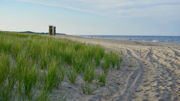 Ein sandiger Strand mit hohem Gras im Vordergrund und einer Struktur im Hintergrund.