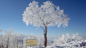 Snø- og skisport