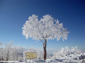Snø- og skisport