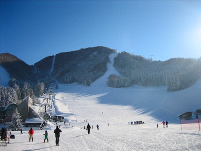 Wafu Pension MIYAZAWA