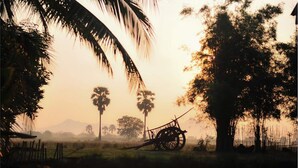 A rustic scene with a water body reflecting trees and a cart. - Wanlapa Farmstay (Lop Buri)