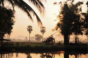 View from property - Wanlapa Farmstay (Lop Buri)