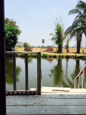 Standard Room with Shared Bathroom | View from room