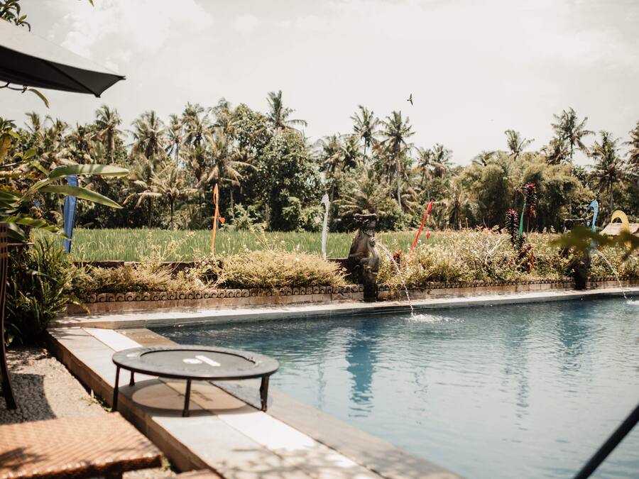 Outdoor pool, free cabanas, pool umbrellas