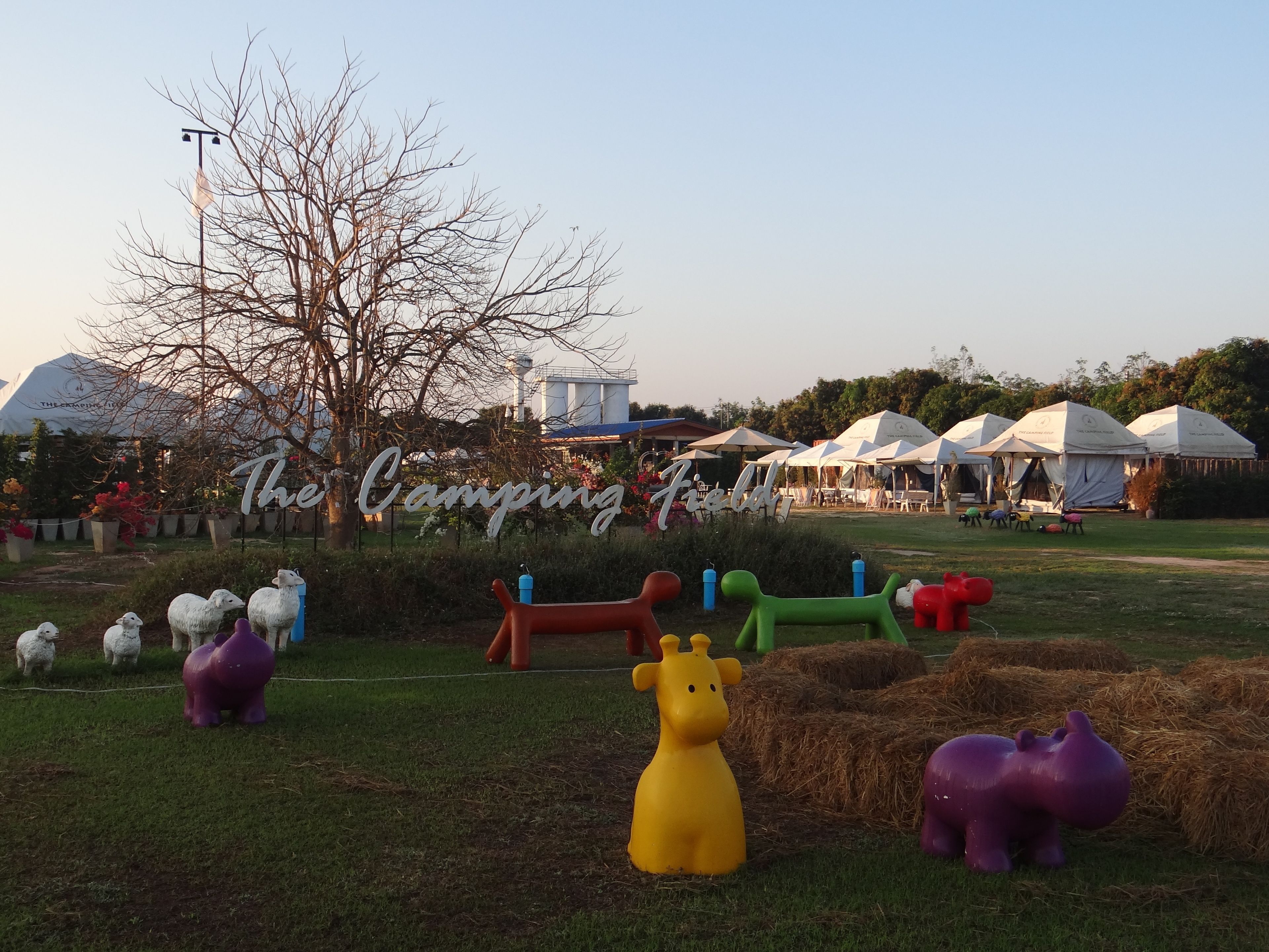 Terrain de l’hébergement 