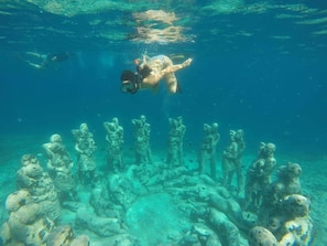 Tour ecologici
