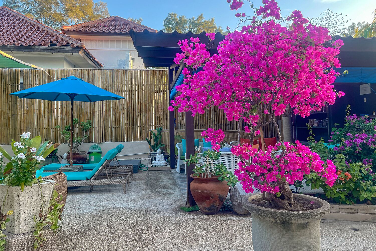 Een terras met een blauwe parasol, tuinmeubels en plantenpotten.