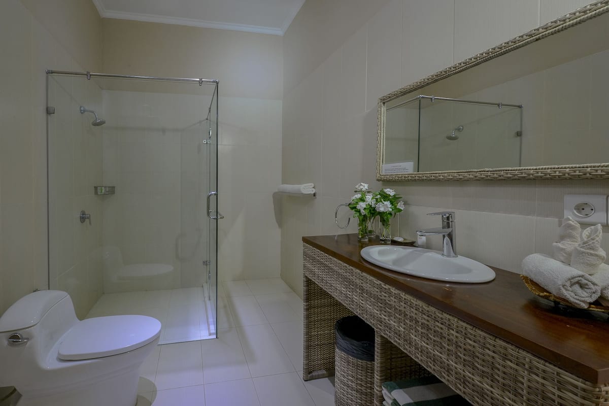 shower, free toiletries, hair dryer, bidet