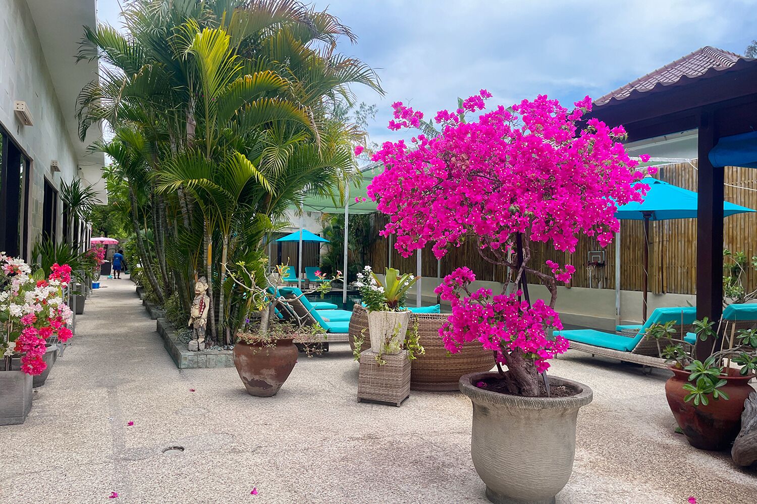 Pemandangan dari kamar