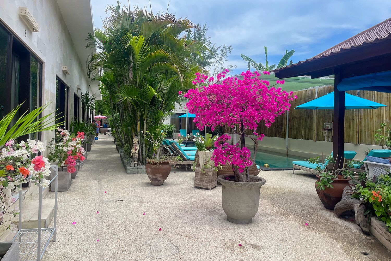 A poolside area with a concrete floor, surrounded by potted plants and flowers, and a pool with lounge chairs.