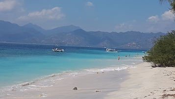 On the beach