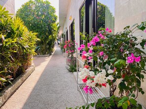 Terassi/patio