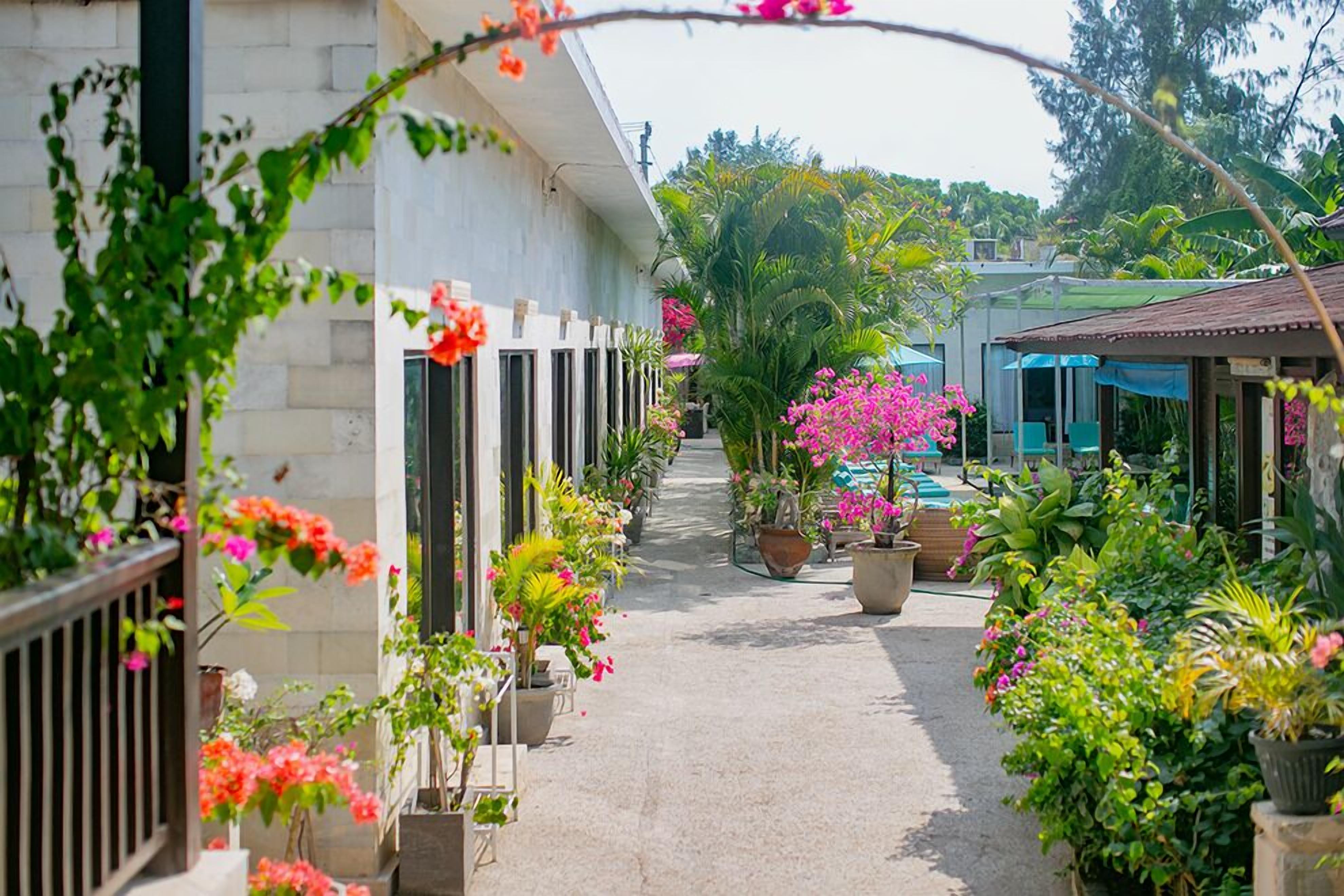 Un sendero bordeado por macetas con plantas y flores, que conduce a una zona de piscina.