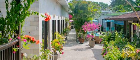 A pathway lined with potted plants and flowers, leading to a pool area.