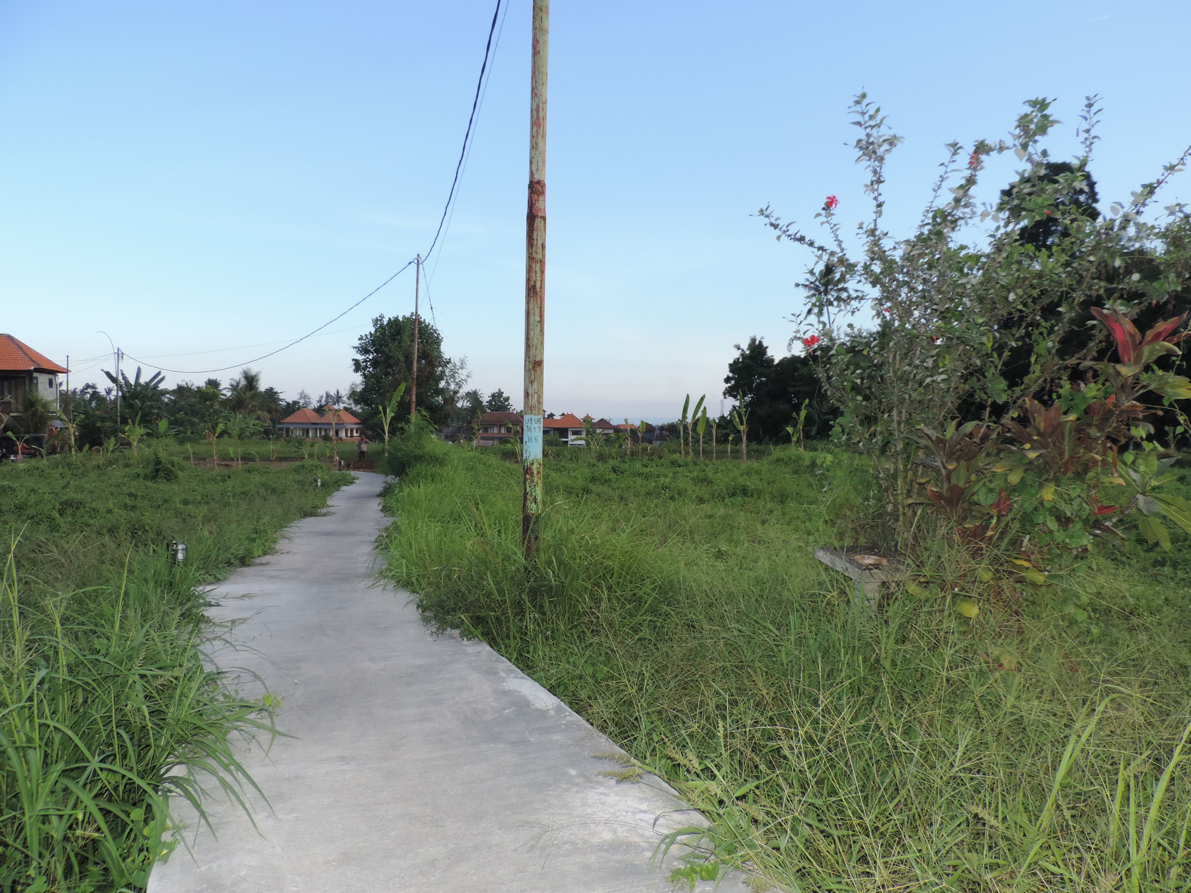 Photo - Duana Sari Ubud by Mahaputra